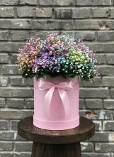 Цветочная композиция из Гипсофила и Розы в шляпной коробке #REPLACE_PRED# Усть-Куте