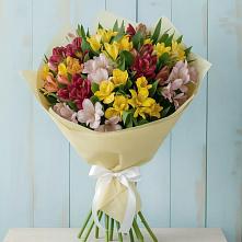 Букет цветов из:  Альстромерии в Усть-Куте