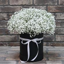 Цветочная композиция из Гипсофила в шляпной коробке в Усть-Куте