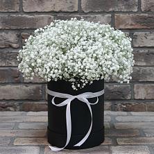Цветочная композиция из Гипсофила в шляпной коробке в Усть-Куте