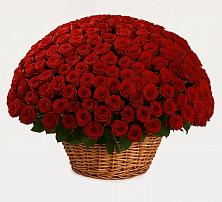 Премиум букет из: Розы в Усть-Куте